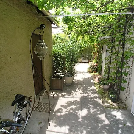 Avec Terrasse Plein Sud Tolone